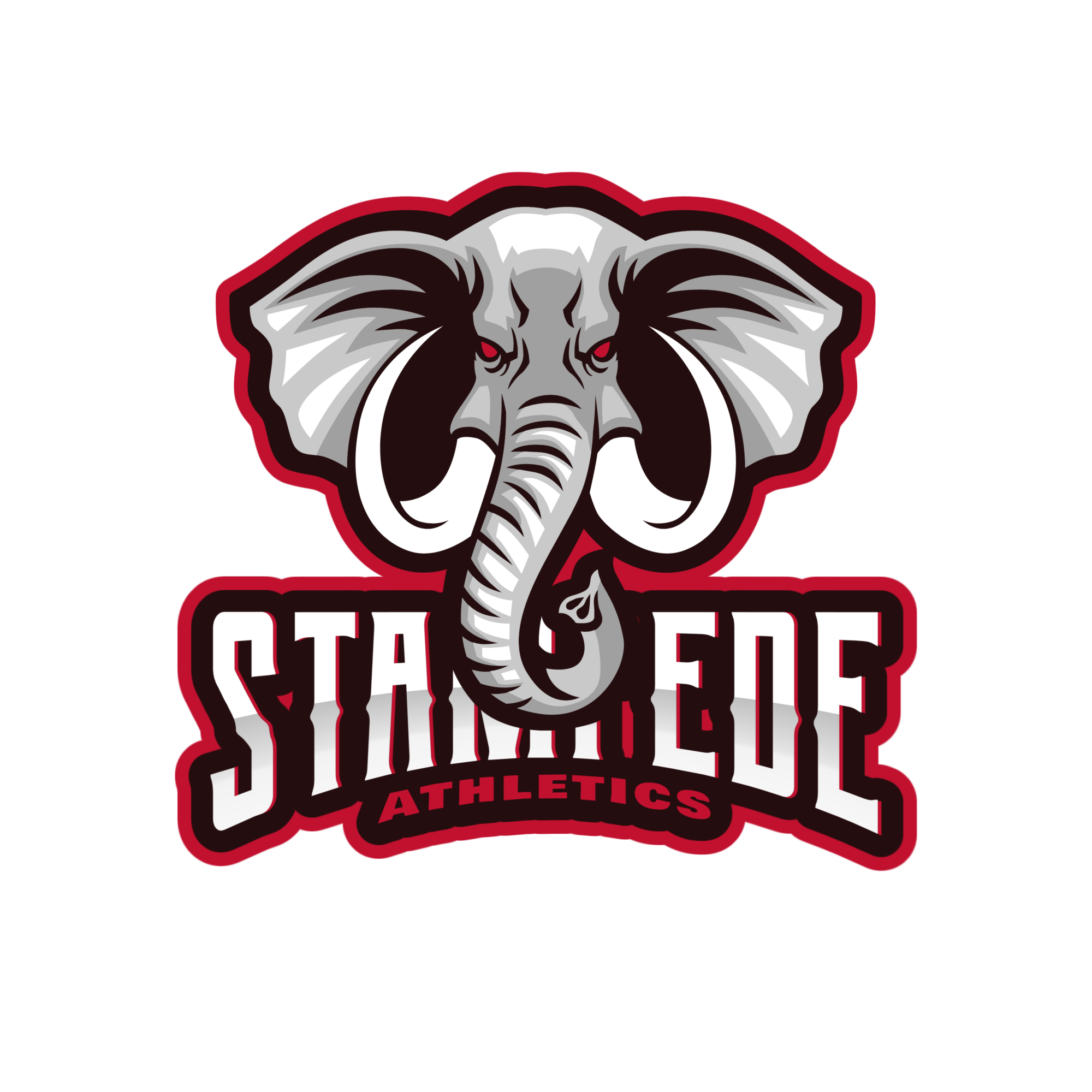 Stampede Athletics, Icon and Text - Large Logo